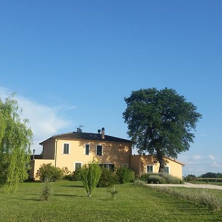 B&B Le Rose Spello Ngoại thất bức ảnh